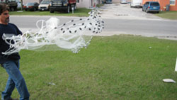 How to throw a cast net step 12