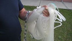 How to throw a cast net step 7